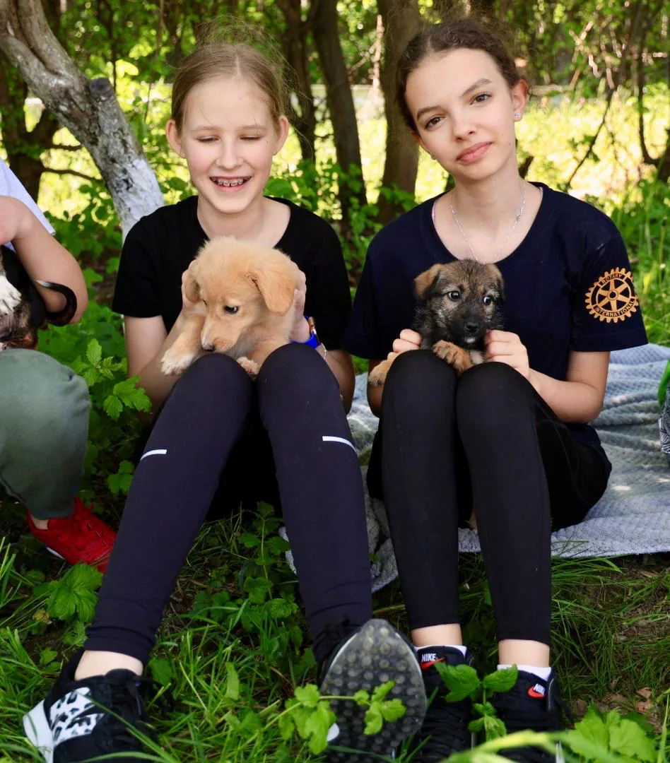 Be Kind to All Kind — Bunătate în acțiune